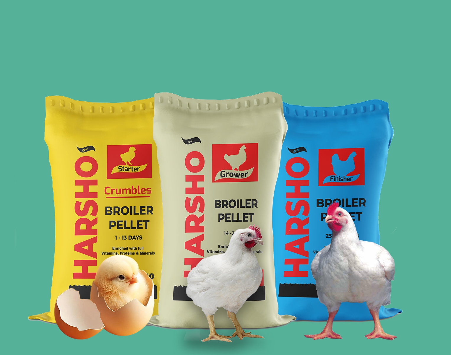 Broiler Pellet Feed