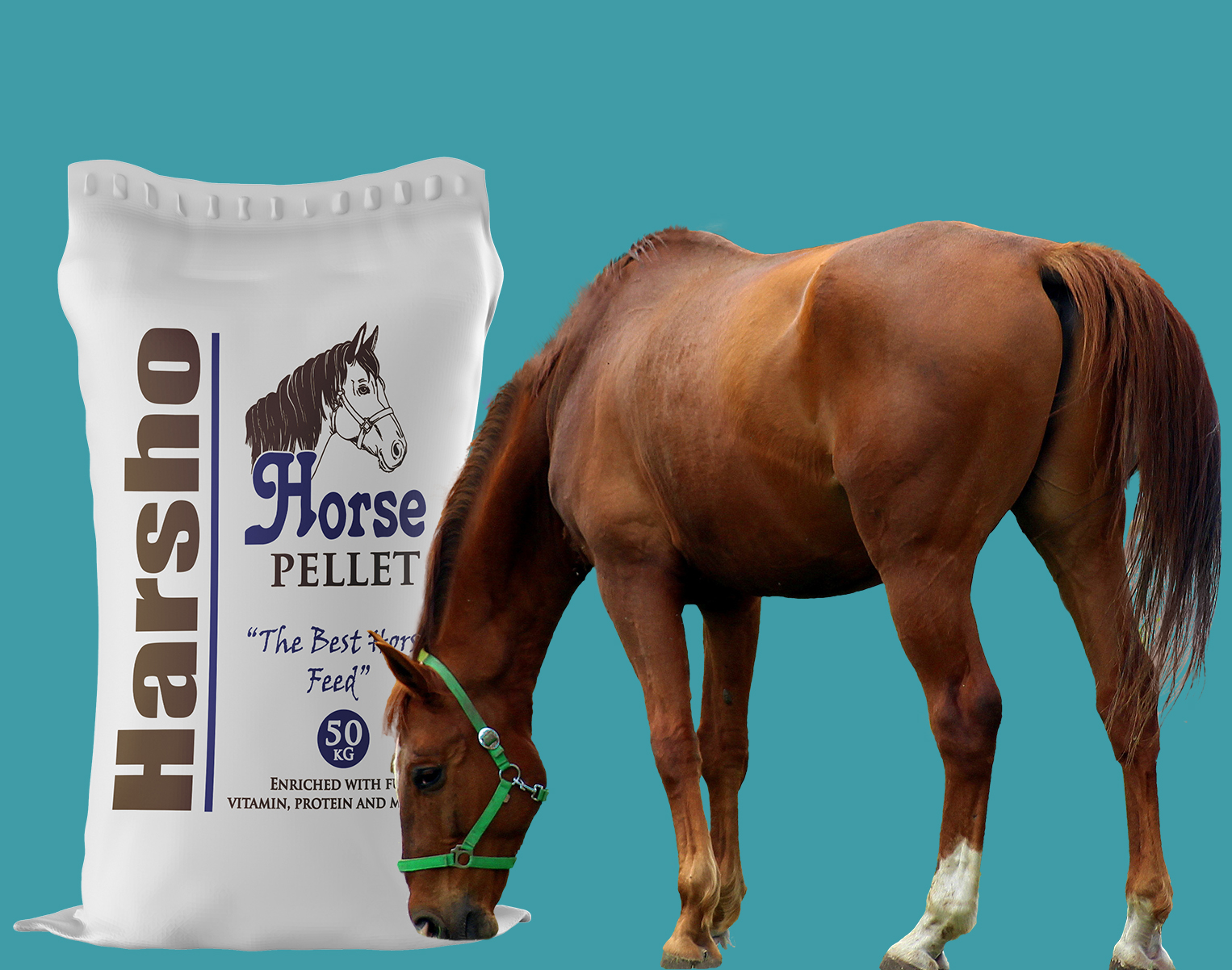 Horse Feeds